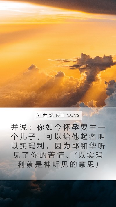创 世 纪 16:11 CUVS Bible Verse Image