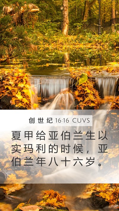 创 世 纪 16:16 CUVS Mobile Phone Wallpaper - 夏 甲 给 亚 伯 兰 生 以 实 玛 利 的 - Mobile Bible Verse Wallpaper