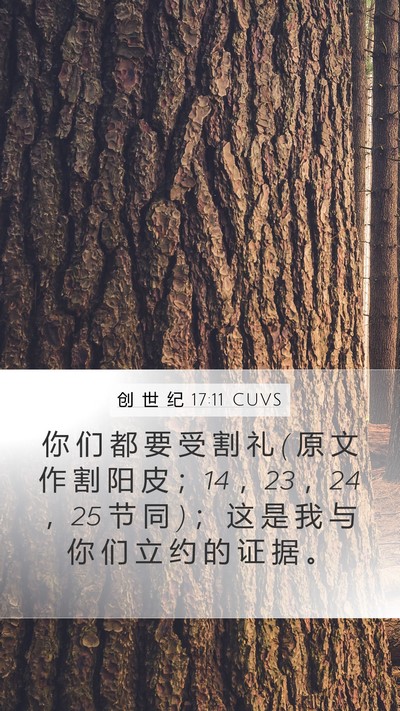 创 世 纪 17:11 CUVS Mobile Phone Wallpaper - 你 们 都 要 受 割 礼 ( 原 文 作 割 阳 - Mobile Bible Verse Wallpaper