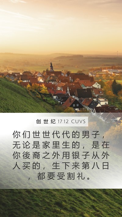 创 世 纪 17:12 CUVS Bible Verse Image
