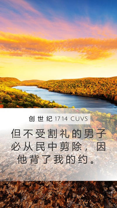 创 世 纪 17:14 CUVS Bible Verse Image