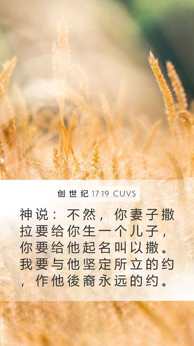 创 世 纪 17:19 CUVS Bible Verse Image