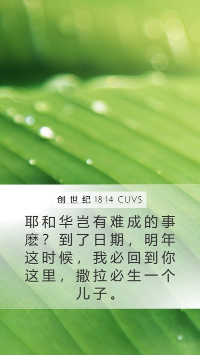 创 世 纪 18:14 CUVS Bible Verse Image