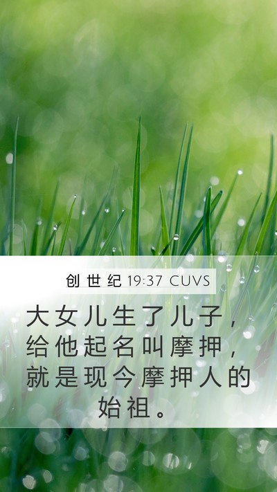 创 世 纪 19:37 CUVS Bible Verse Image