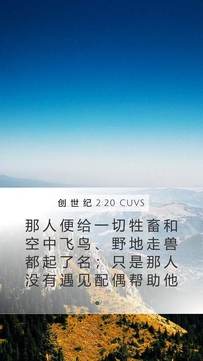 创 世 纪 2:20 CUVS Bible Verse Image
