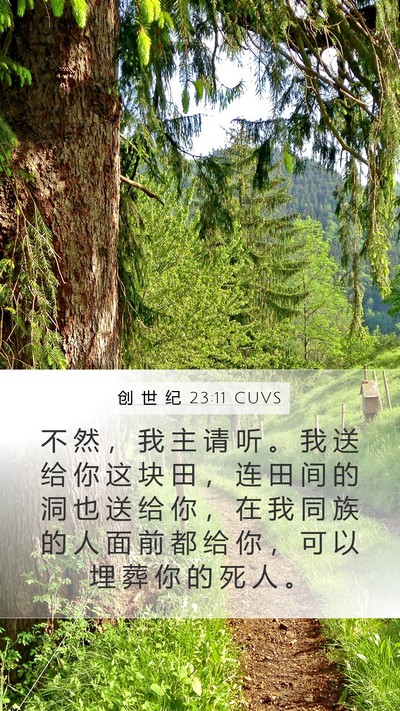 创 世 纪 23:11 CUVS Mobile Phone Wallpaper - 不 然 ， 我 主 请 听 。 我 送 给 你 - Mobile Bible Verse Wallpaper