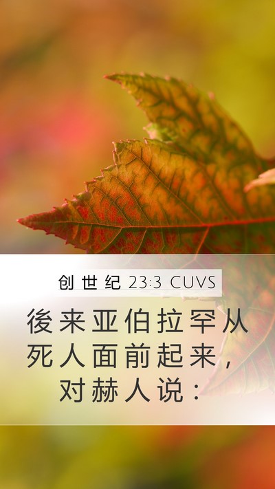 创 世 纪 23:3 CUVS Mobile Phone Wallpaper - 後 来 亚 伯 拉 罕 从 死 人 面 前 起 - Mobile Bible Verse Wallpaper