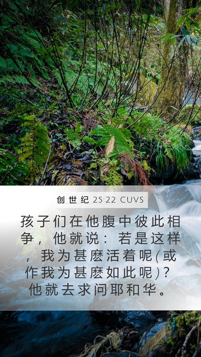 创 世 纪 25:22 CUVS Bible Verse Image