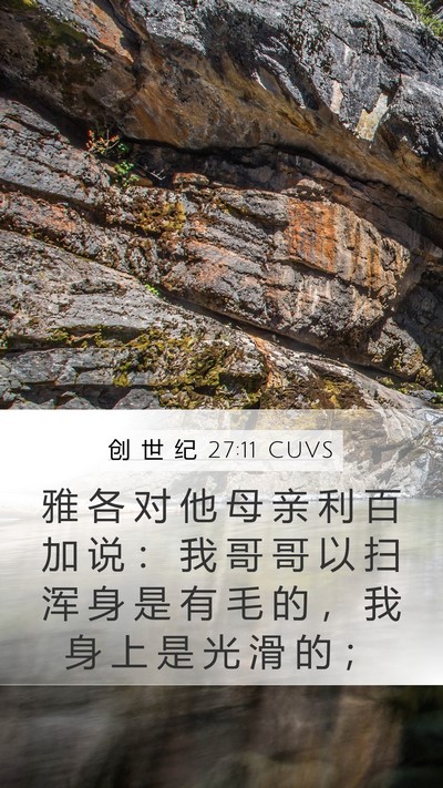 创 世 纪 27:11 CUVS Mobile Phone Wallpaper - 雅 各 对 他 母 亲 利 百 加 说 ： 我 - Mobile Bible Verse Wallpaper