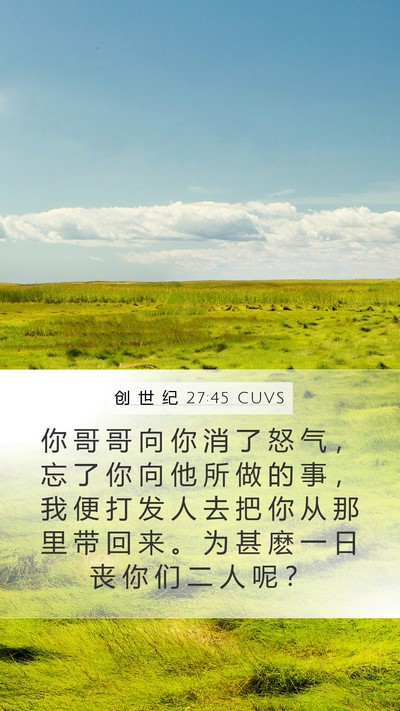创 世 纪 27:45 CUVS Mobile Phone Wallpaper - 你 哥 哥 向 你 消 了 怒 气 ， 忘 了 - Mobile Bible Verse Wallpaper