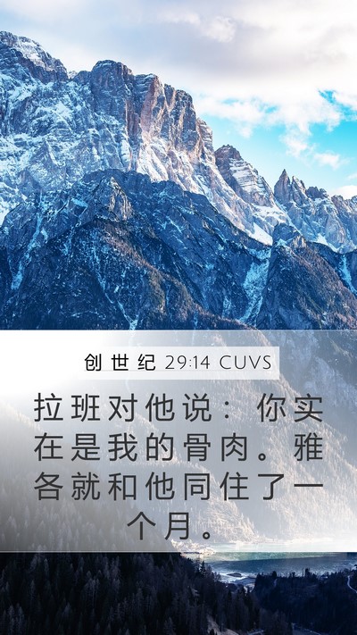 创 世 纪 29:14 CUVS Bible Verse Image