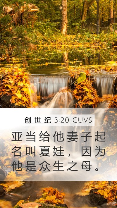 创 世 纪 3:20 CUVS Mobile Phone Wallpaper - 亚 当 给 他 妻 子 起 名 叫 夏 娃 ， - Mobile Bible Verse Wallpaper