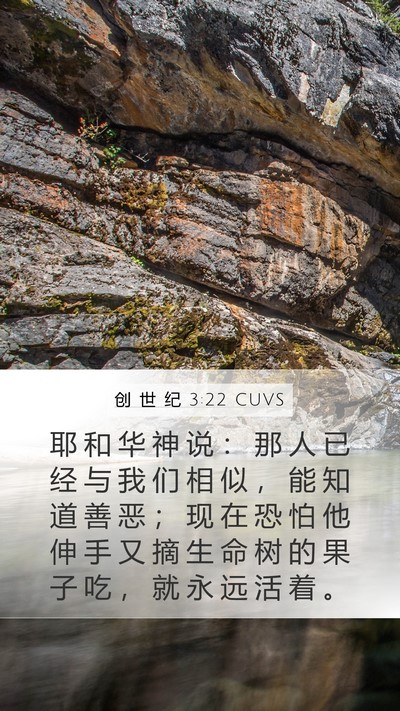 创 世 纪 3:22 CUVS Bible Verse Image