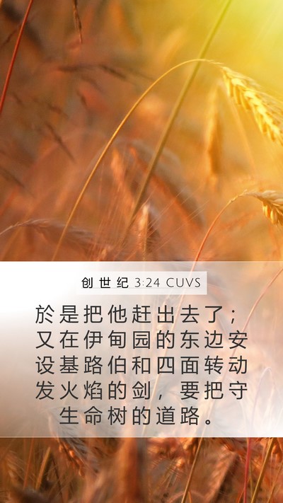 创 世 纪 3:24 CUVS Bible Verse Image