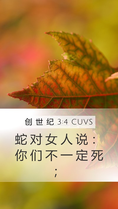创 世 纪 3:4 CUVS Bible Verse Image