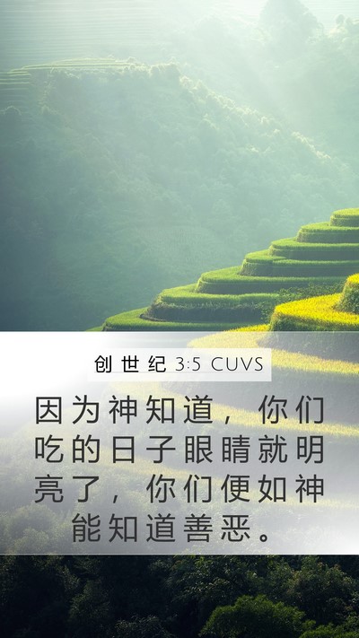 创 世 纪 3:5 CUVS Bible Verse Image