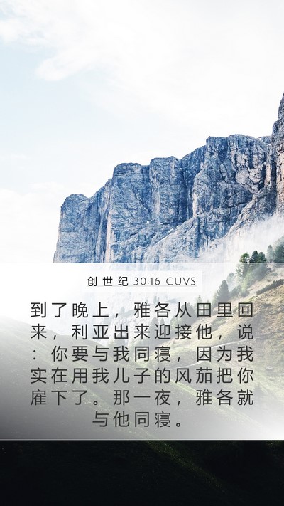 创 世 纪 30:16 CUVS Mobile Phone Wallpaper - 到 了 晚 上 ， 雅 各 从 田 里 回 来 - Mobile Bible Verse Wallpaper