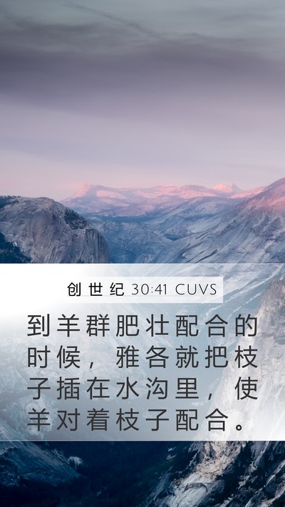 创 世 纪 30:41 CUVS Mobile Phone Wallpaper - 到 羊 群 肥 壮 配 合 的 时 候 ， 雅 - Mobile Bible Verse Wallpaper