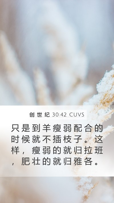 创 世 纪 30:42 CUVS Mobile Phone Wallpaper - 只 是 到 羊 瘦 弱 配 合 的 时 候 就 - Mobile Bible Verse Wallpaper