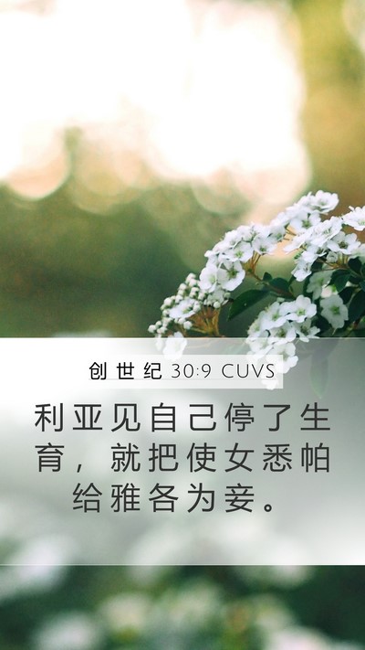 创 世 纪 30:9 CUVS Bible Verse Image