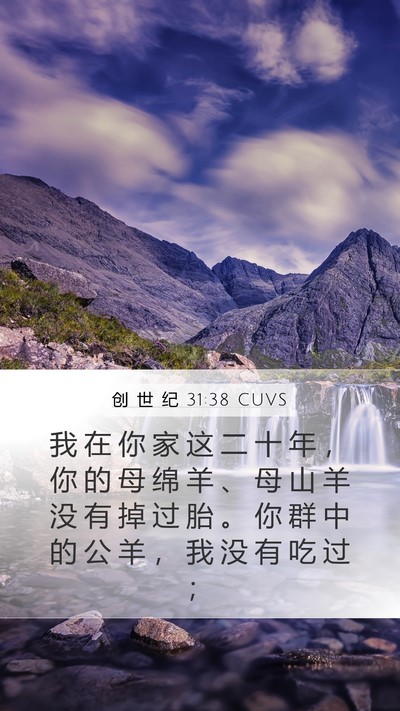 创 世 纪 31:38 CUVS Bible Verse Image