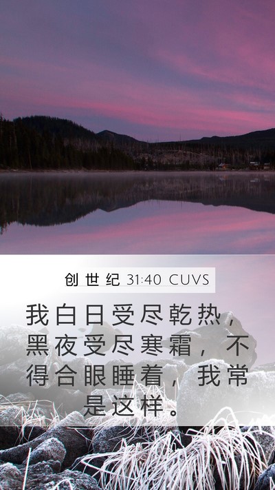 创 世 纪 31:40 CUVS Mobile Phone Wallpaper - 我 白 日 受 尽 乾 热 ， 黑 夜 受 尽 - Mobile Bible Verse Wallpaper