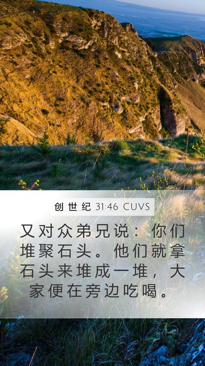 创 世 纪 31:46 CUVS Bible Verse Image