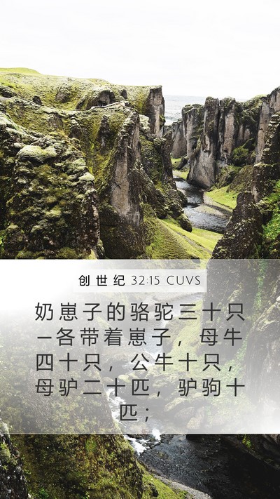 创 世 纪 32:15 CUVS Mobile Phone Wallpaper - 奶 崽 子 的 骆 驼 三 十 只 ─ 各 带 - Mobile Bible Verse Wallpaper