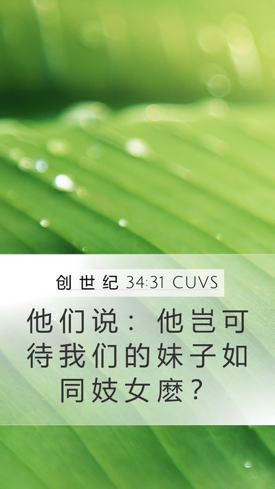 创 世 纪 34:31 CUVS Mobile Phone Wallpaper - 他 们 说 ： 他 岂 可 待 我 们 的 妹 - Mobile Bible Verse Wallpaper