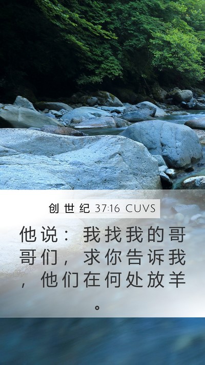 创 世 纪 37:16 CUVS Mobile Phone Wallpaper - 他 说 ： 我 找 我 的 哥 哥 们 ， 求 - Mobile Bible Verse Wallpaper