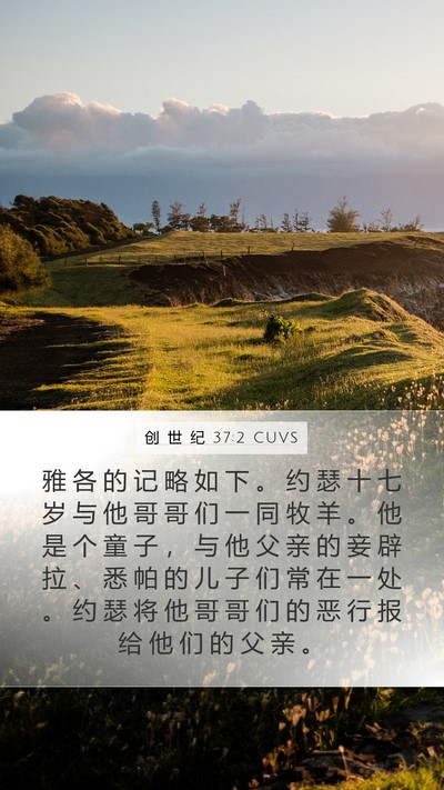 创 世 纪 37:2 CUVS Mobile Phone Wallpaper - 雅 各 的 记 略 如 下 。 约 瑟 十 七 - Mobile Bible Verse Wallpaper