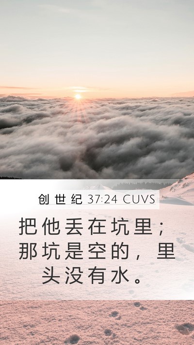 创 世 纪 37:24 CUVS Mobile Phone Wallpaper - 把 他 丢 在 坑 里 ； 那 坑 是 空 的 - Mobile Bible Verse Wallpaper