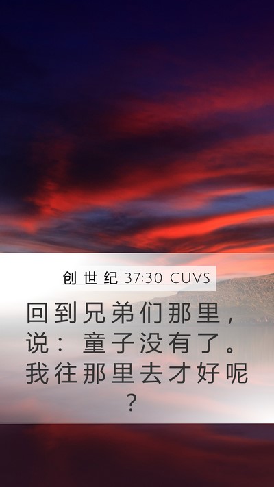 创 世 纪 37:30 CUVS Bible Verse Image