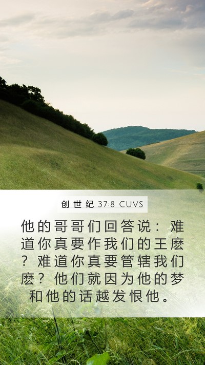 创 世 纪 37:8 CUVS Bible Verse Image