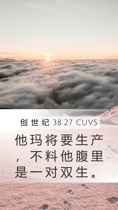 创 世 纪 38:27 CUVS Mobile Phone Wallpaper - 他 玛 将 要 生 产 ， 不 料 他 腹 里 - Mobile Bible Verse Wallpaper