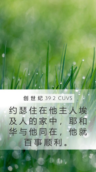 创 世 纪 39:2 CUVS Bible Verse Image