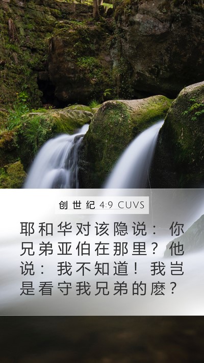 创 世 纪 4:9 CUVS Bible Verse Image