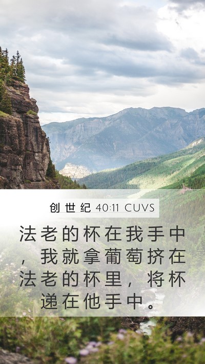 创 世 纪 40:11 CUVS Mobile Phone Wallpaper - 法 老 的 杯 在 我 手 中 ， 我 就 拿 - Mobile Bible Verse Wallpaper