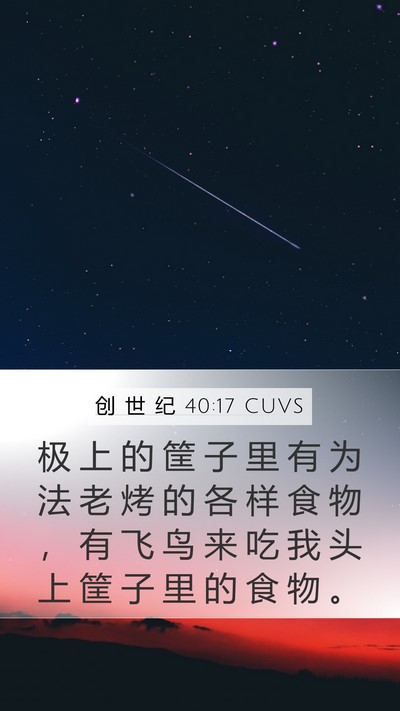 创 世 纪 40:17 CUVS Mobile Phone Wallpaper - 极 上 的 筐 子 里 有 为 法 老 烤 的 - Mobile Bible Verse Wallpaper