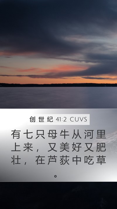 创 世 纪 41:2 CUVS Mobile Phone Wallpaper - 有 七 只 母 牛 从 河 里 上 来 ， 又 - Mobile Bible Verse Wallpaper