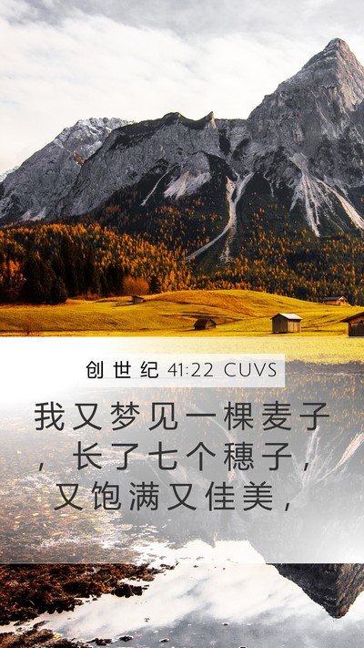 创 世 纪 41:22 CUVS Mobile Phone Wallpaper - 我 又 梦 见 一 棵 麦 子 ， 长 了 七 - Mobile Bible Verse Wallpaper