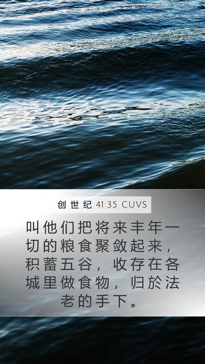 创 世 纪 41:35 CUVS Mobile Phone Wallpaper - 叫 他 们 把 将 来 丰 年 一 切 的 粮 - Mobile Bible Verse Wallpaper