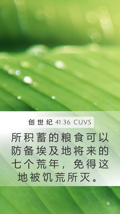 创 世 纪 41:36 CUVS Mobile Phone Wallpaper - 所 积 蓄 的 粮 食 可 以 防 备 埃 及 - Mobile Bible Verse Wallpaper