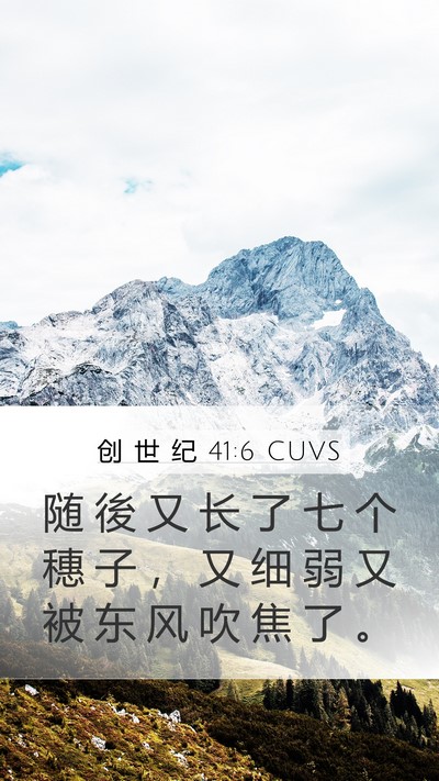 创 世 纪 41:6 CUVS Mobile Phone Wallpaper - 随 後 又 长 了 七 个 穗 子 ， 又 细 - Mobile Bible Verse Wallpaper