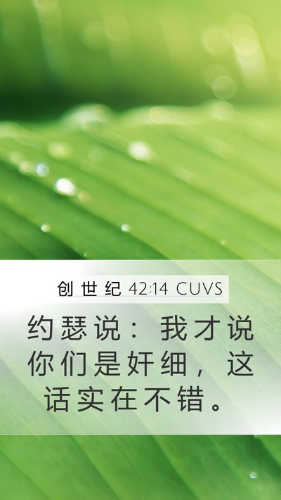创 世 纪 42:14 CUVS Bible Verse Image