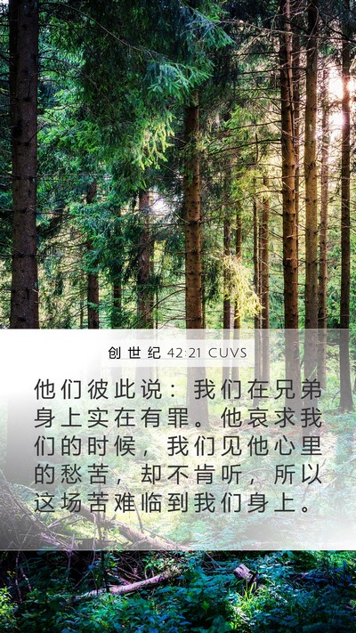 创 世 纪 42:21 CUVS Bible Verse Image