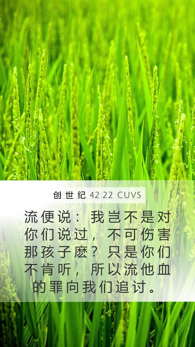 创 世 纪 42:22 CUVS Mobile Phone Wallpaper - 流 便 说 ： 我 岂 不 是 对 你 们 说 - Mobile Bible Verse Wallpaper