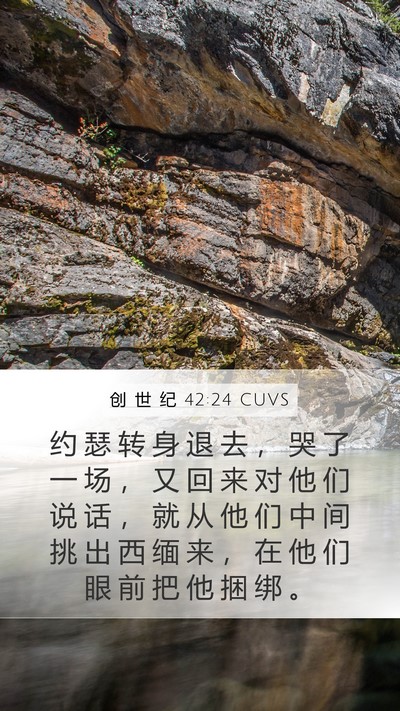 创 世 纪 42:24 CUVS Bible Verse Image