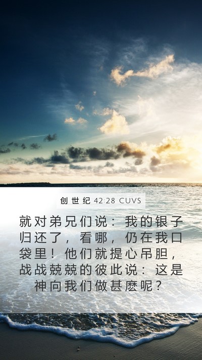 创 世 纪 42:28 CUVS Bible Verse Image
