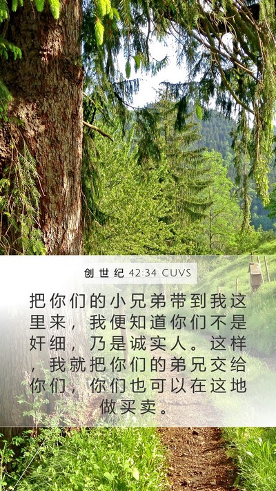 创 世 纪 42:34 CUVS Bible Verse Image